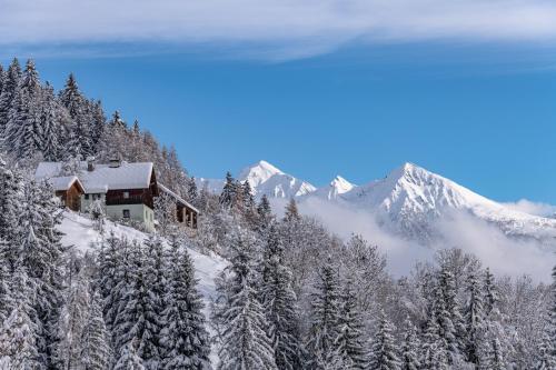 a house on a snowy mountain with snow covered trees at Ferienwohnung Sabine in Flattach