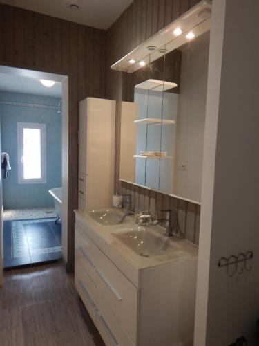 a bathroom with a sink and a mirror and a tub at LA SALAMANDRE in Bordeaux