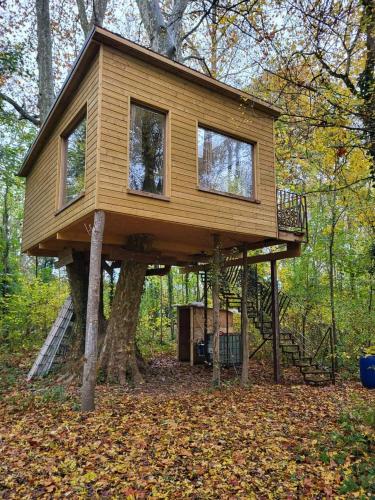 une cabane dans les arbres au milieu de la forêt dans l'établissement La maison dans l'arbre, à Escolives-Sainte-Camille
