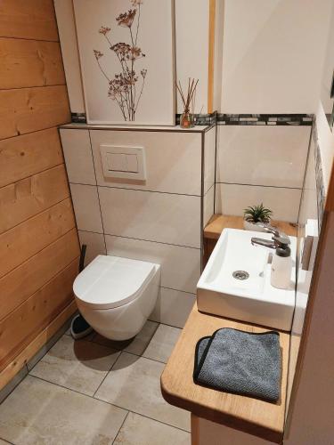 a bathroom with a toilet and a sink at Ferienhaus Schilz in Plütscheid