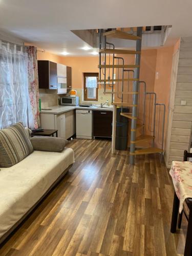 ドゥシュニキ・ズドルイにあるNoclegi u Ewyのソファとキッチンのあるリビングルーム