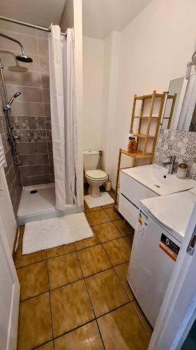 une salle de bain avec une douche, des toilettes et un lavabo dans l'établissement Rêve au Centre de Sens et Proche de la Gare, à Sens