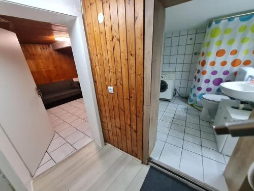 a bathroom with a toilet and a wooden door at Ramstein in Ramstein-Miesenbach