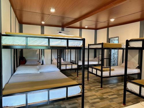 a group of bunk beds in a room at The Wild Farms By Gwestai in Masinagudi