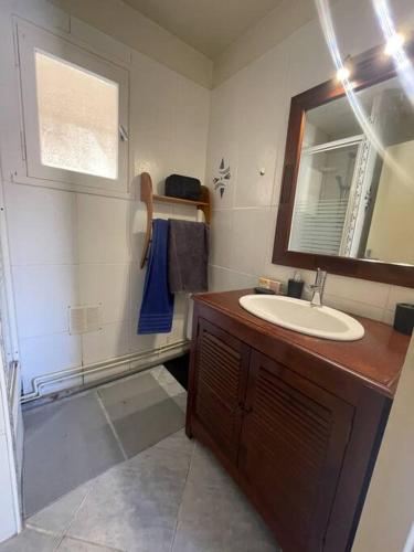 une salle de bain avec un lavabo et un miroir dans l'établissement T2 Cap d'Agde bord Roquille, au Cap d'Agde