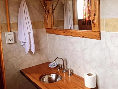 a bathroom with a sink and a mirror at Don Martin in El Bolsón