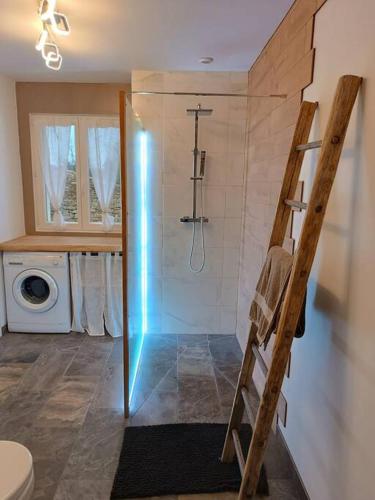 une salle de bain avec douche et toilettes et une échelle dans l'établissement Maison authentique au pieds du vignoble de 135m2 6 personnes, à La Charme