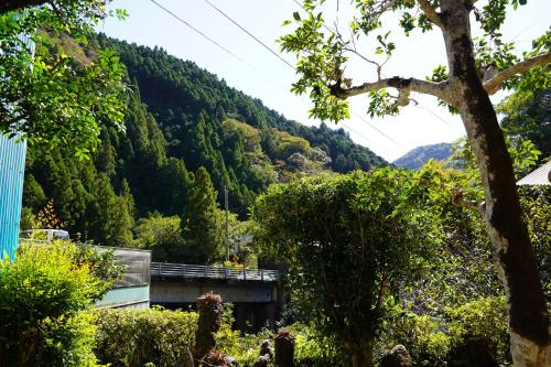 a view of a mountain from a garden at TOSAYAMA BASE 清流沿いの里山　古民家貸切　高知市街地より車で約20分 in Kochi