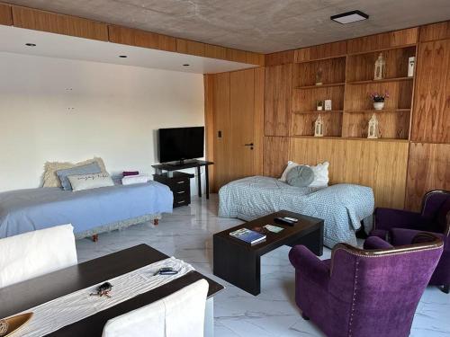 - un salon avec 2 lits et une télévision dans l'établissement Premiun Apart 1 - Pleno Centro, à Suipacha