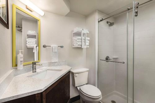 La salle de bains est pourvue d'un lavabo et d'une douche. dans l'établissement Hampton Inn Kansas City - Airport, à Kansas City