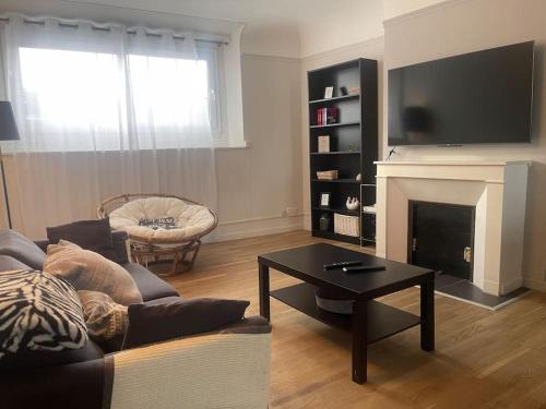uma sala de estar com um sofá e uma lareira em La Bretonnerie *T2* em Orléans