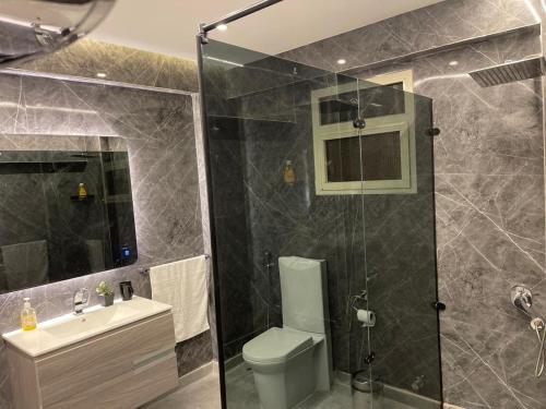 a bathroom with a shower and a toilet and a sink at WB Lounge - Mohandessin Apartment in Cairo