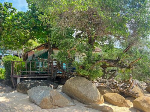 a house with a tree and some rocks at Siam Cookies Cottage in Haad Pleayleam