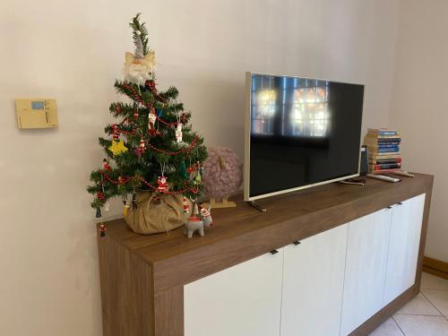 Un árbol de Navidad sentado en la parte superior de un televisor en Domus Iuturnae en Castel Gandolfo