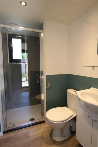 een badkamer met een douche, een toilet en een wastafel bij Tiny House in Baarle-Nassau