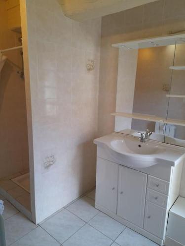 une salle de bain blanche avec un lavabo et une douche dans l'établissement Gîte Napoléon, à Dienville