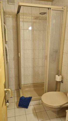 a bathroom with a shower and a toilet at Pension Hof zur Stilli in Davos