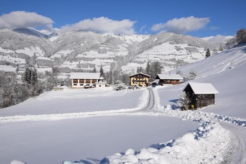 a snow covered mountain with houses and a road at Löschenbrandhof in Mittersill