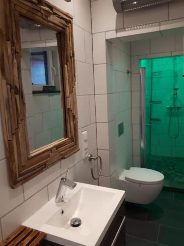 W łazience znajduje się umywalka, toaleta i lustro. w obiekcie Ferienwohnung am Schwimmteich w mieście Lachendorf