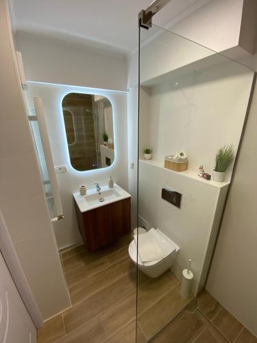a bathroom with a toilet and a glass shower at Central luxury apartment Iasi in Iaşi