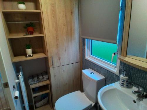 een kleine badkamer met een toilet en een wastafel bij 8 Birth Mobile Luxury home C016 8SG St Osyth near Clacton on Sea in Clacton-on-Sea