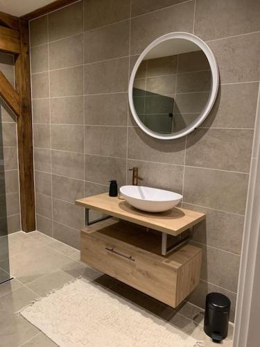 a bathroom with a sink and a mirror at Vakantiehuis Hollestelle in Ovezande