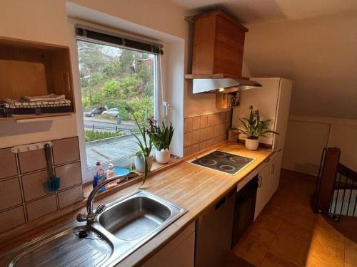 cocina con fregadero y ventana en Apartment near Park, en Hamburgo