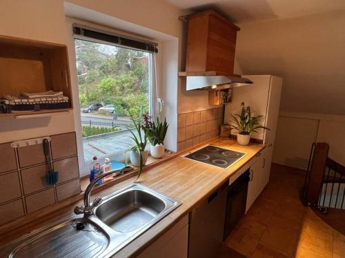 Η κουζίνα ή μικρή κουζίνα στο Apartment near Park