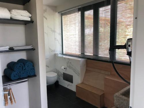 a bathroom with a toilet and a window at Agriturismo Voeuja Lago Maggiore in Luino