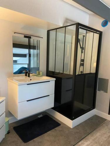 une salle de bain avec douche et lavabo dans l'établissement Charmant petit studio mezzanine avec climatisation, à Sète
