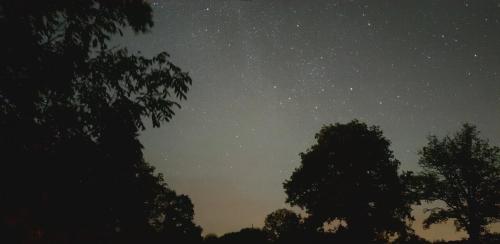 a starry night with trees in the foreground at Le Montaurier in Combrailles