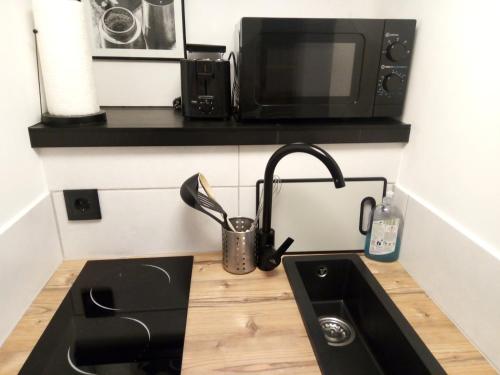 a kitchen counter with a sink and a microwave at Forest Hill Travel &Work Nettes Apartment mit privatem Eingang Birkenau Mannheim Weinheim Heidelberg in Birkenau