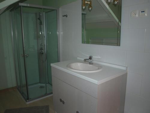 a bathroom with a sink and a glass shower at GITE RIEN SANS PEINE proche FUTUROSCOPE in Naintré
