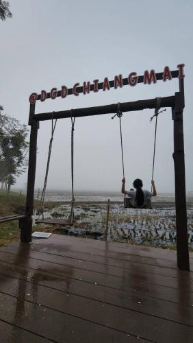 a person sitting on a swing at the beach at DGD Chiangmai in Mae Rim