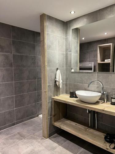 un bagno con lavandino e specchio di Gastenverblijf Rodenburg a Streefkerk