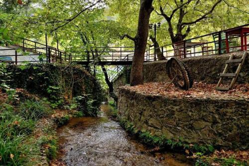a stone bridge over a creek with a creek at EMAN TERMAL HOTEL in Ilıcalı