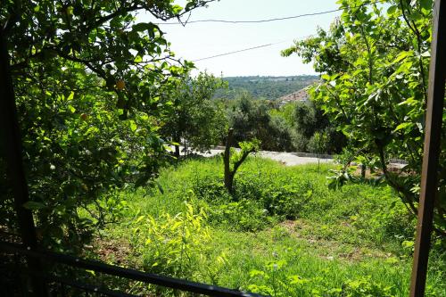 a view of a field of grass with trees at Hotel Sema in Patara