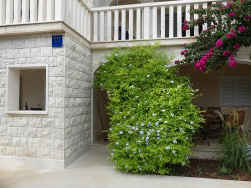 a bush with white flowers on the side of a building at Villa Skoric in Orebić