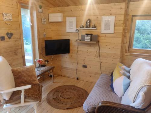 Il comprend un salon doté de murs en bois et d'une télévision. dans l'établissement Luxury log cabin with wood fired hot tub, à Moville