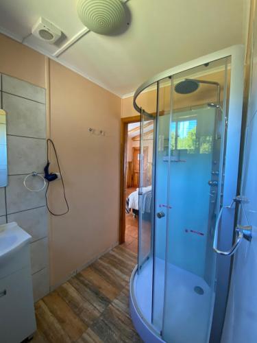 a bathroom with a shower and a glass shower stall at Patagonia Bordelago in Puerto Ingeniero Ibáñez