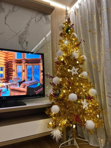 un árbol de Navidad en una sala de estar con TV en Apartament Centrum Wyzwolenia, en Szczecin