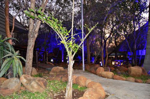 Taman di luar Royal Marlothi Kruger Safari Lodge and Spa