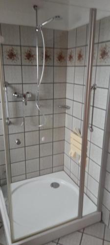 a shower with a glass door in a bathroom at Ferienwohnung Aue Deußen in Erftstadt