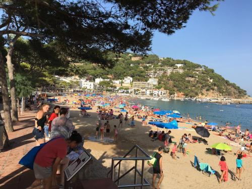 a group of people on the beach at a beach at Cozy Glamping Chalet in Palams with Garden View in Palamós