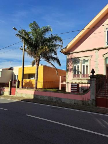 a palm tree next to a house with a fence at Casa Santana in Moledo