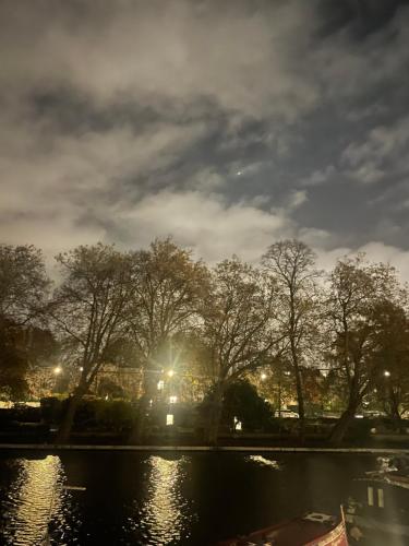 a view of a river at night with trees and lights at Sleepy Dragon 