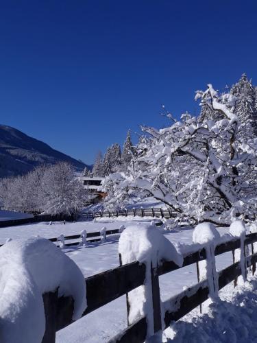 a fence covered in snow next to a tree at Brunnerhof in Strassen
