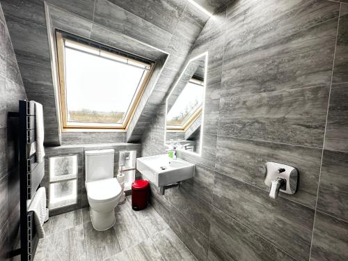 uma casa de banho com um WC, um lavatório e um espelho. em Dove House Cottages - No 2 em Witney