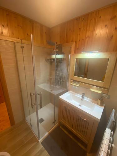 ein Bad mit einer Dusche und einem Waschbecken in der Unterkunft Appartamento piano terra in centro paese. in Carona