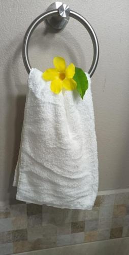 Canaan şehrindeki Comfi Spaces tesisine ait fotoğraf galerisinden bir görsel